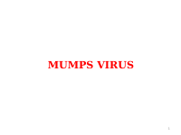 6. Mumps Virus.pdf